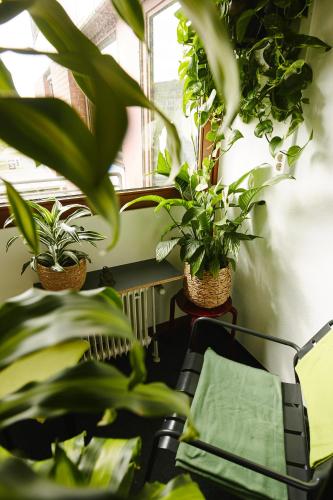 Létesítmények, Sleep Station Hostel in Münster