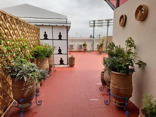 Erkély/terasz, Hotel Mentaga in Taroudant