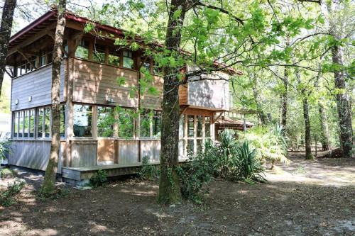 La cabane sous les pins - Location, gîte - Andernos-les-Bains