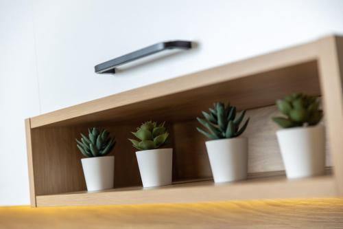 Apartman Roko Apartman Roko