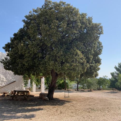 Casas Rurales Cortijo Cerro Fuentes Nuevas