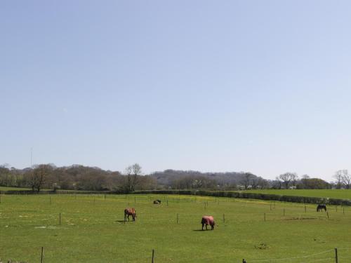 The Attic at Redmond Bottom