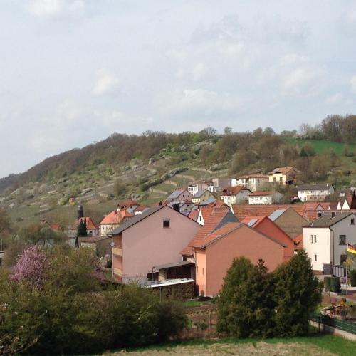 Alte Rose Gasthaus - image 7