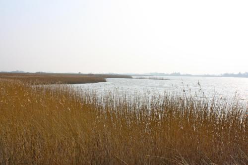Rudbøl Grænsekro - image 6