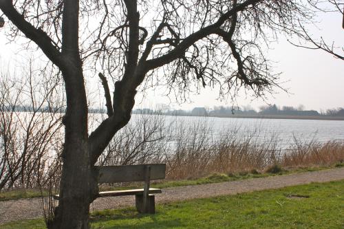 Rudbøl Grænsekro - image 7