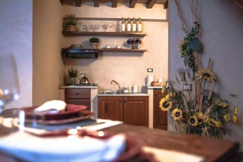 Fattoria Guicciardini Room Type - Apartment