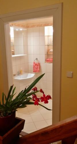 Shower, Dame vam pokoj - 4 pokoje se sdilenou kuchyni, kapacita max 9 osob in Harrachov