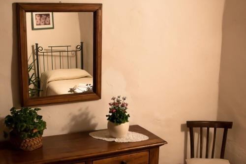 Fattoria Guicciardini - image 13