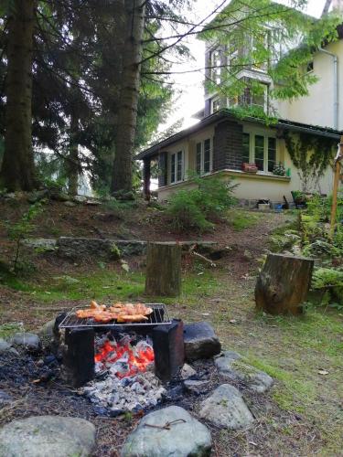 Facilities, Dame vam pokoj - 4 pokoje se sdilenou kuchyni, kapacita max 9 osob in Harrachov