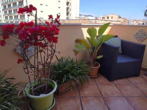 Attico Finocchiaro - Terrazza in Centro Wifi Free, Palermo (foto 5)