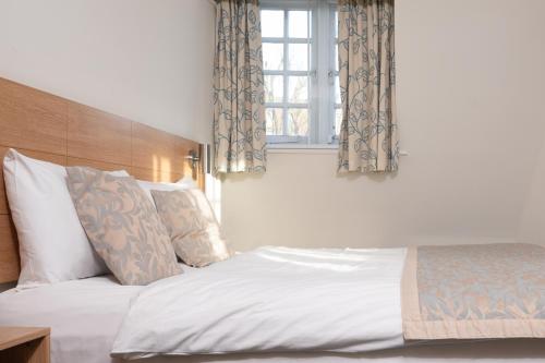 Fox Connaught London ExCel - image 3