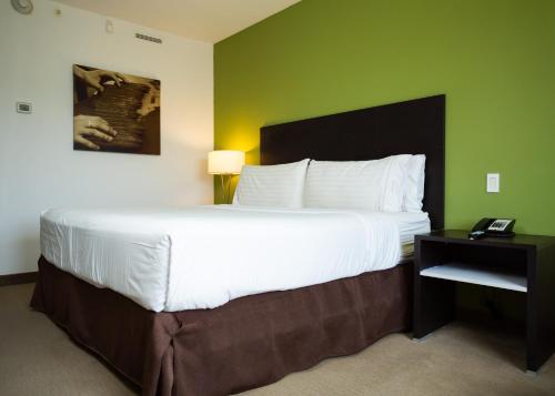 460082678 Holiday Inn Express Managua by IHG