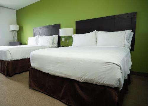 460082714 Holiday Inn Express Managua by IHG