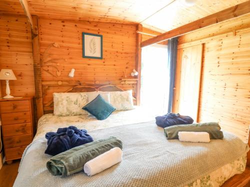 Brook Lodge, Llandysul (fotografie 8)