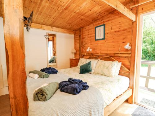 Brook Lodge, Llandysul (fotografie 9)