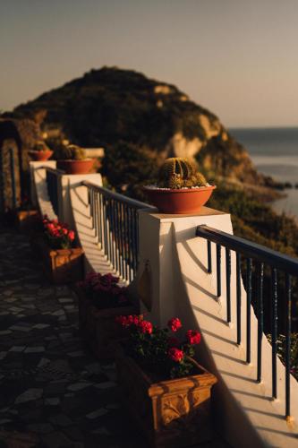 Hotel Villa Maria - image 12