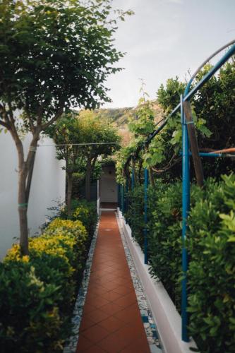 Hotel Villa Maria - image 10
