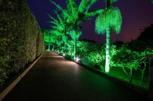 Dārzs, Quinta da Paz Azores in Pico da Pedra