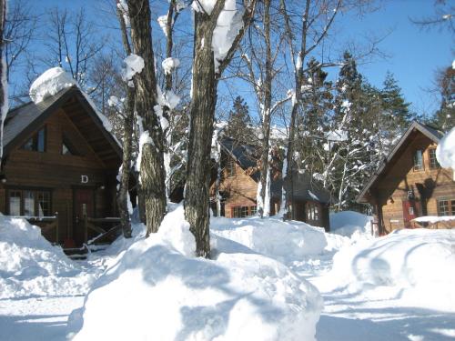 Hakuba Brownie Cottages - Vacation STAY 55999v