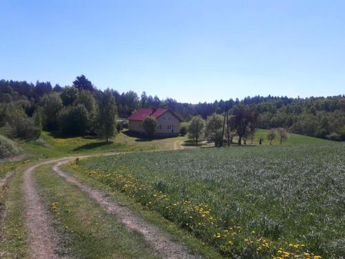 Dom na Warmii in Kochanowka