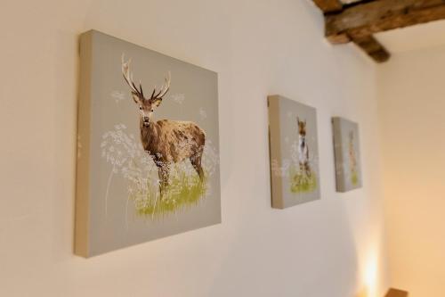 Character Cottage In West Burton, Wensleydale