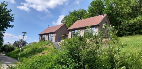Odenwald-Lodge mit Infrarotsauna und E-Ladestation im Naturpark Odenwald "Haus Himmelblau" in Reichelsheim (Odenwald)