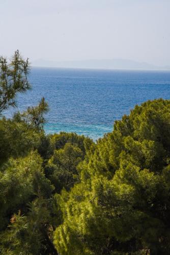 Seaview apartment in Vouliagmeni