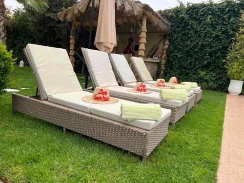 Dar sophia Dar sophia