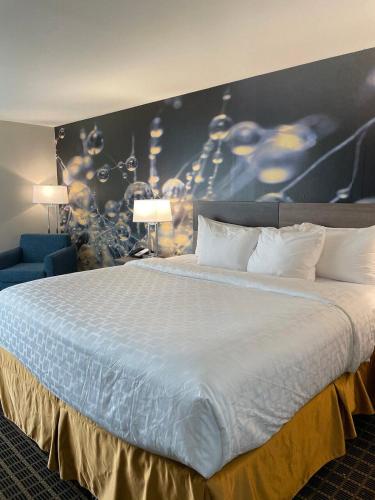 Clarion Pointe South Boston-Danville East - image 6