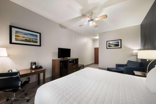 Best Western Plus Lake Dallas Inn & Suites