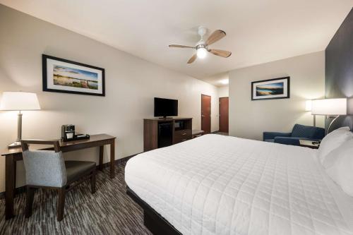 Best Western Plus Lake Dallas Inn & Suites - main image