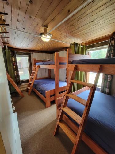 Two Rivers Motel and Cabins of Kenton, MI