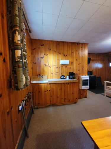 Two Rivers Motel and Cabins of Kenton, MI - 편의 시설/서비스