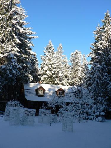 雪松之歌住宿加早餐旅馆