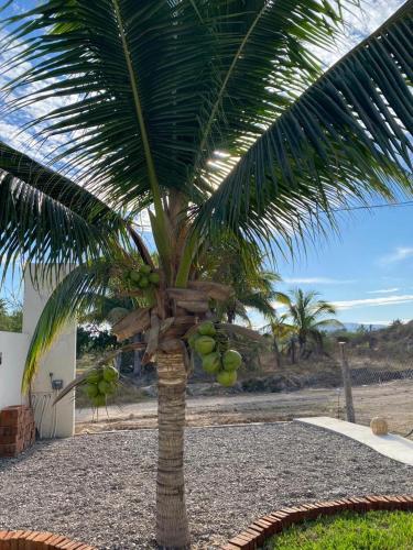 Los Amores Apartments B
