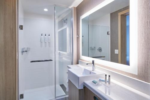 SpringHill Suites by Marriott Detroit Dearborn - image 11