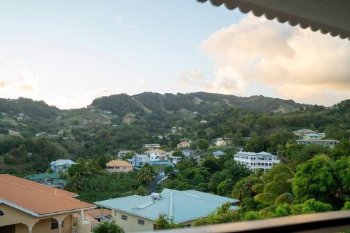 Omgeving, Enjoy Sunset @ Tropical Lookout in Kingstown