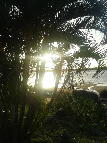 A környék, Hotel Amazonia du Fleuve*** in Saint-Laurent-du-Maroni