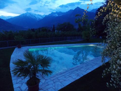 Hotel Pension Verdorfer - image 10