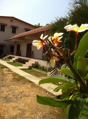 Facilities, Pedasi Sports Club in Pedasi