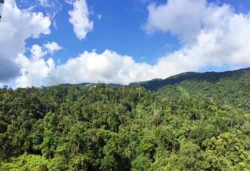 ELECTUS HOME at MIDHILLS GENTING - FREE WiFi & Parking, Resorts World Genting (foto 10)