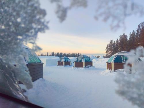 Arctic SnowHotel & Glass Igloos