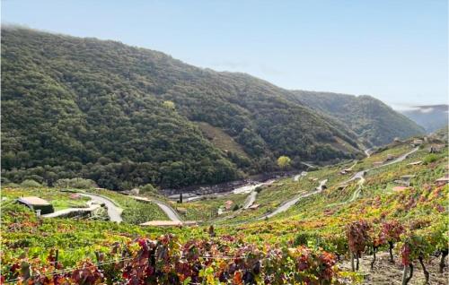 外部景觀, Gorgeous Home In Galicia in 薩維尼奧聖士提反里巴斯美濃