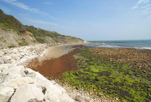 Exterior view, Penda Cottage in Chale