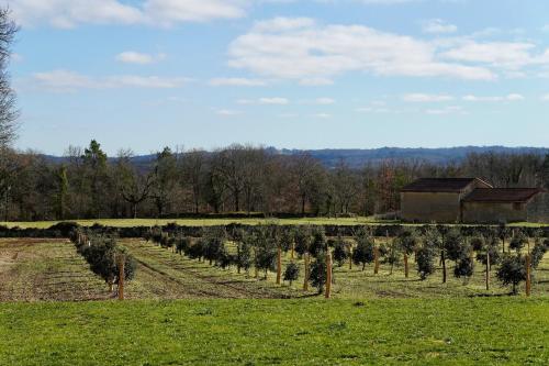 Domaine Truffier du Grand Merlhiot