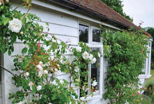 Tufton Croft