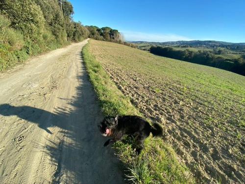 Podere Bellavista in campagna