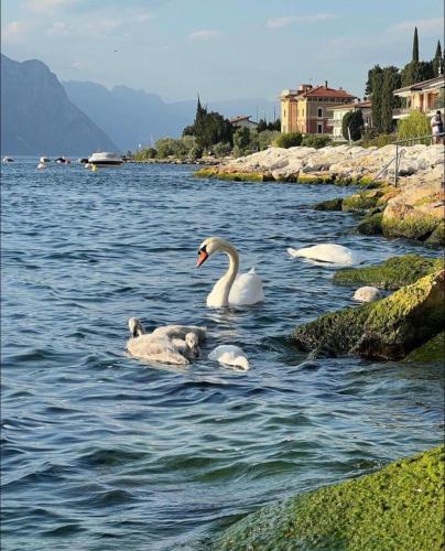 Villa Torre - Atmosfera Romantica