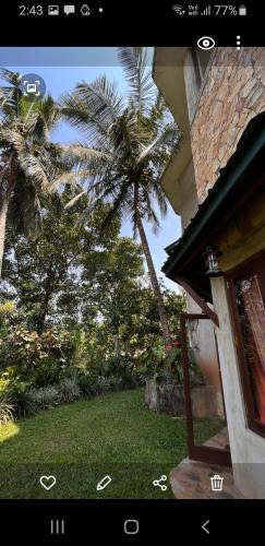 Mount Haven, Kandy (fotografie 9)