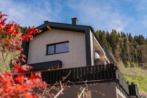  City Fischer Design Apartment in Schladming